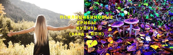 сатива Ладушкин