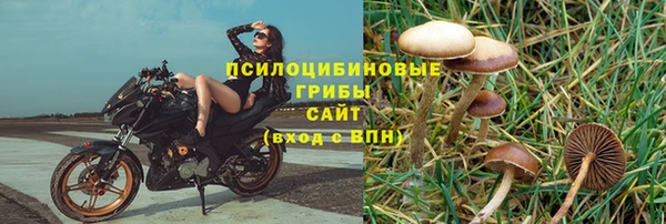 соль курить ск Кукмор
