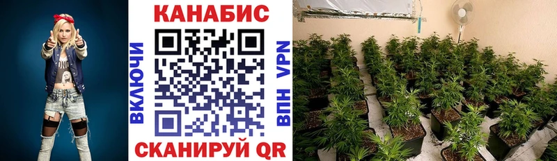 Бошки Шишки Ganja Неман